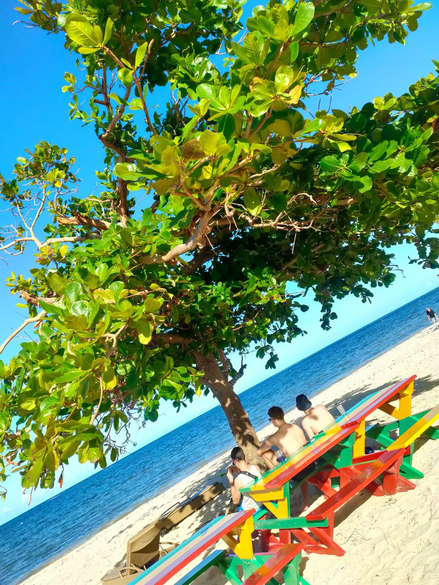 Bomboclaaat🇯🇲🇯🇲🇯🇲