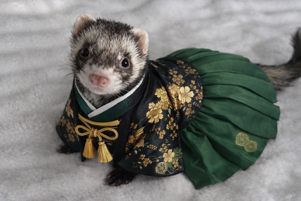 若葉のあ【iLiFE!】 tweet media