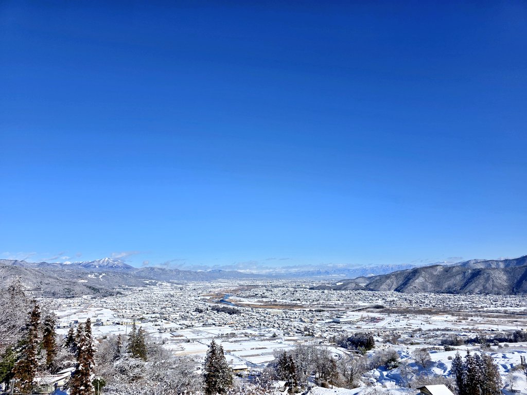 しなの tweet media