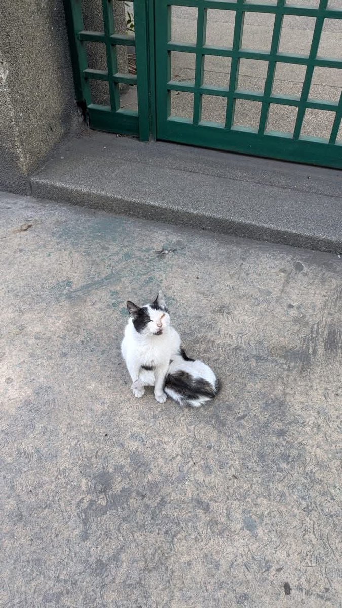 😔 Reportan a esta mamita la abandonaron frente a la Universidad de Antímano Caracas.  Alguien con un corazón grandeeee 🙏🏽 que pueda ayudarla 😭 Por favor difundir. Número de contacto 04248225482