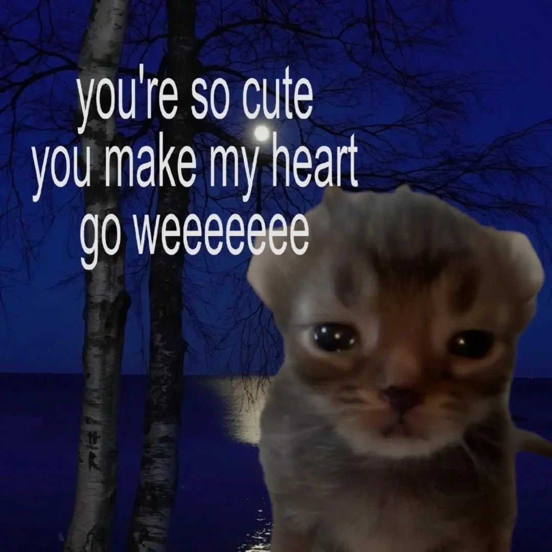 softheavens's tweet image. 