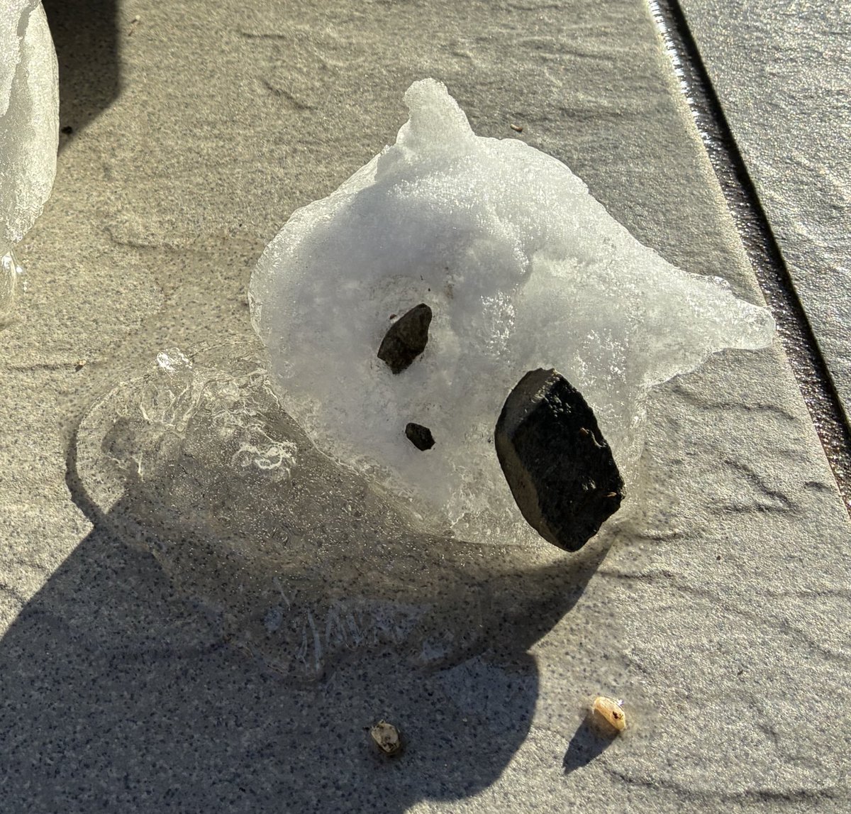 歌うコーヒーゼリー tweet media