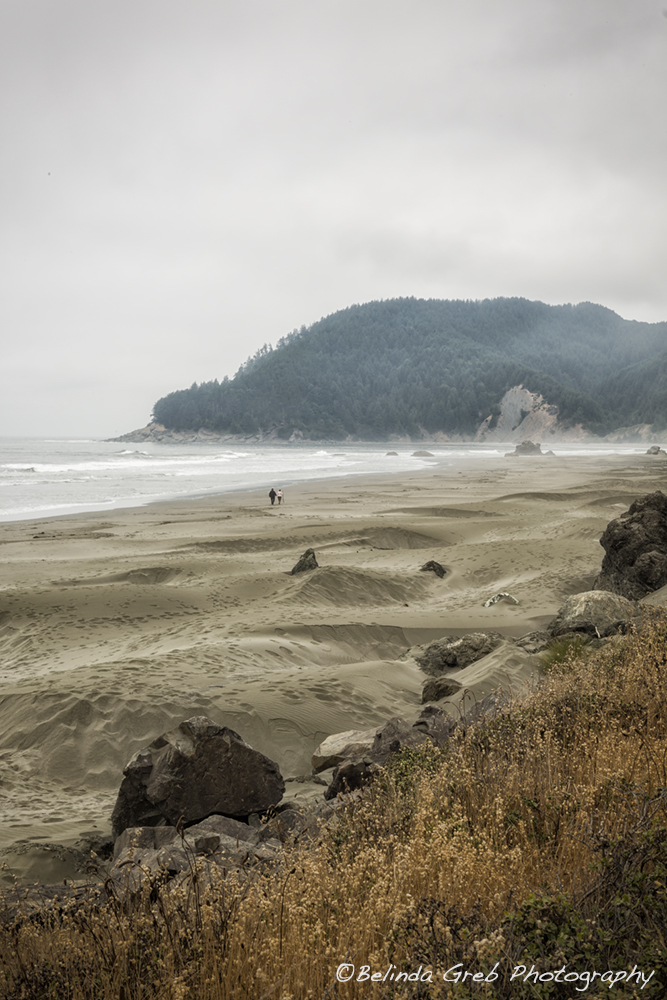 Belinda Greb tweet media