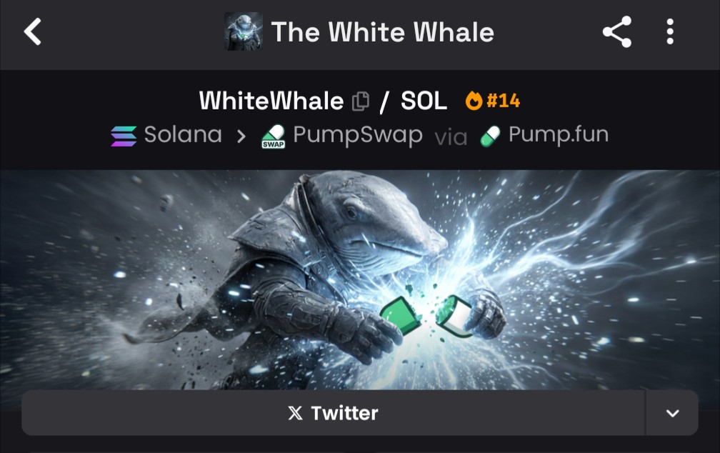 CC_Bob_L's tweet photo. There's a reason why I'm not invested in these projects. They're all too similar to be real. It's really easy to create a coin and artificially pump them. Without a real community these coins don't make it past a month. 

#304M is real, has real support and a real community 🔥 https://t.co/hlW0KhrV2E