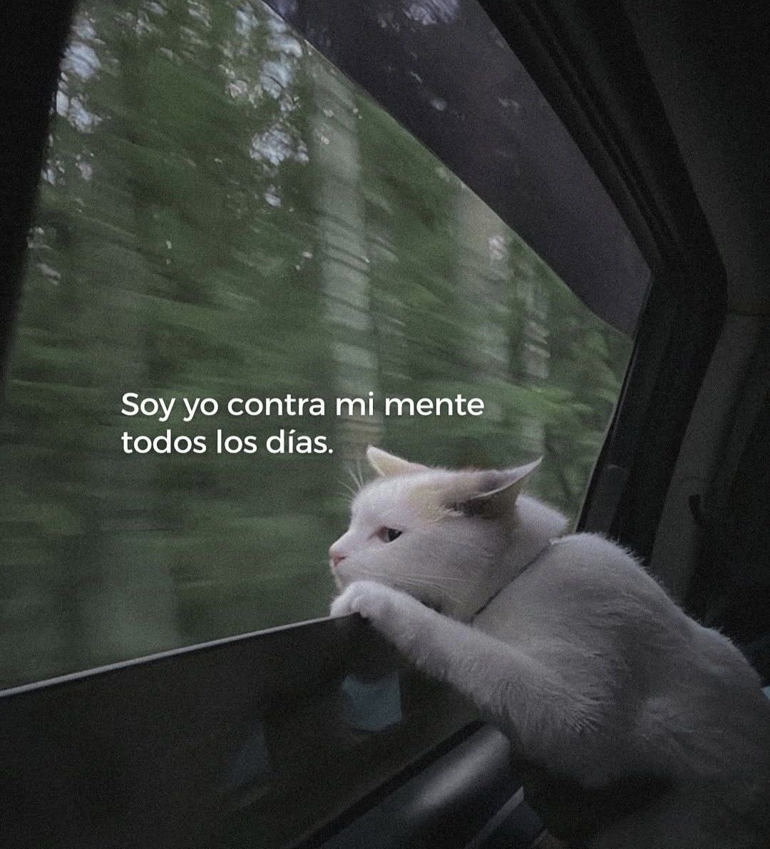 frases sad (@retumbera) on Twitter photo 