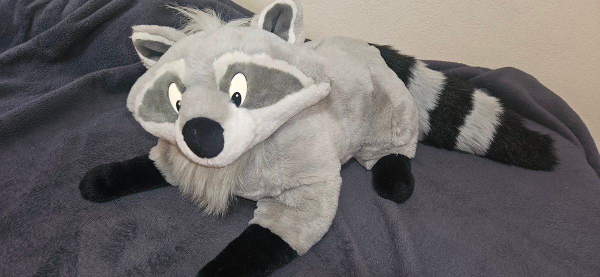 Meeko plush im borrowing for my fc panel