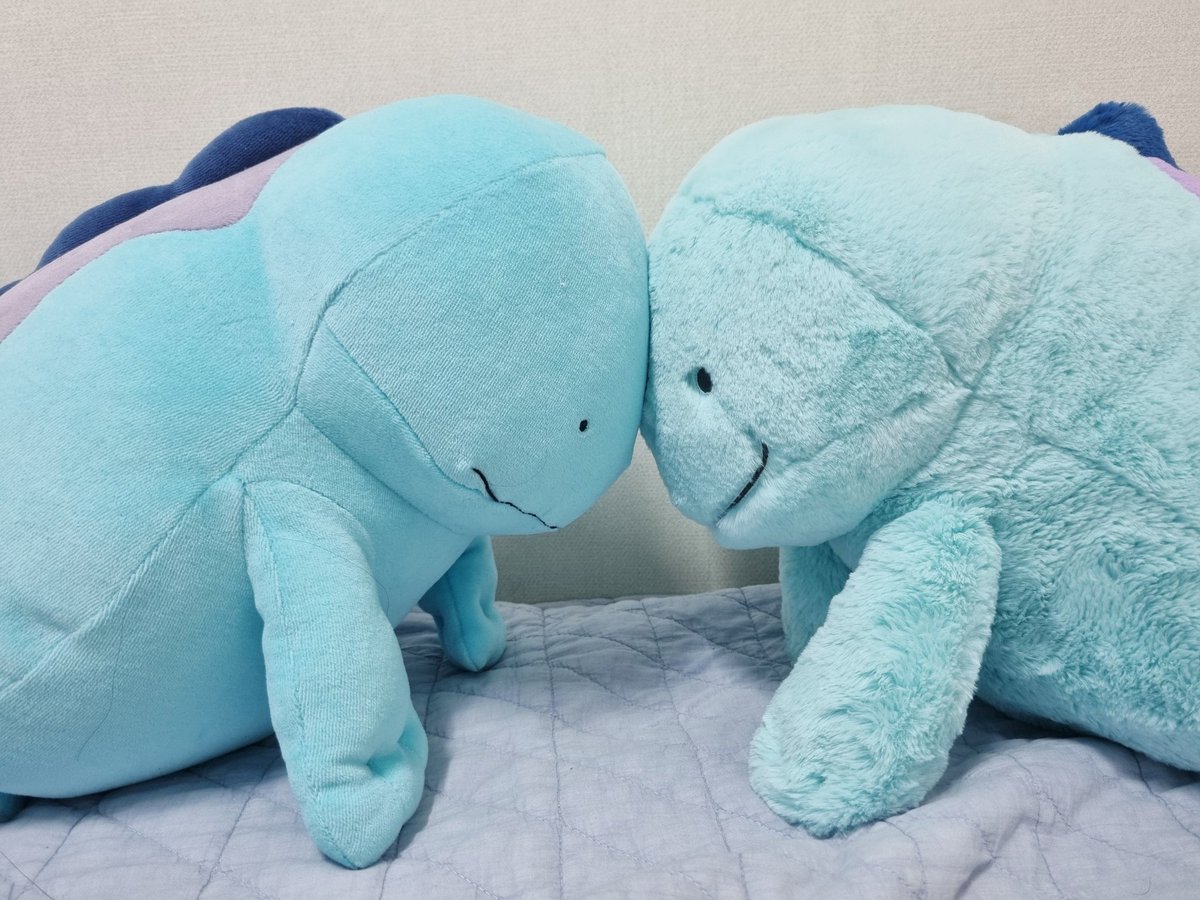 jjeomluvclub's tweet photo. 너와 내 아이큐를 합치면...!!

몇이지 https://t.co/3p9OHTYPWB