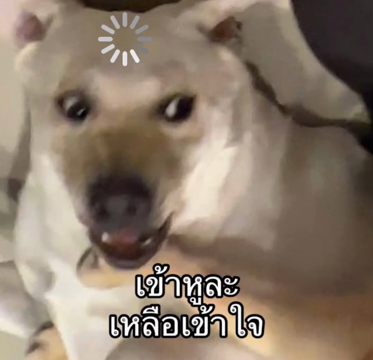 lolong___'s tweet image. เริ่มวันปุ๊บ กูก็เริ่มเลย