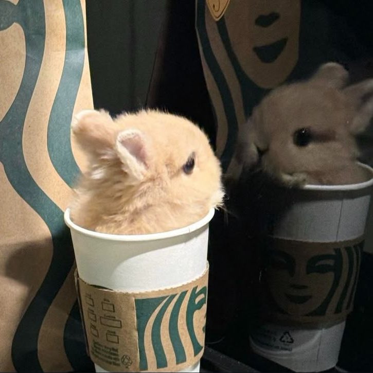 myboo_hani's tweet image. 👀 ??