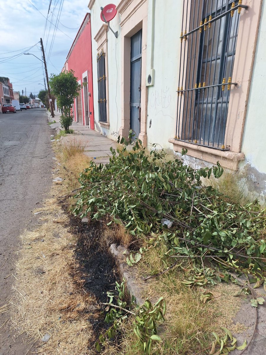 Edgardo13713538's tweet photo. @spublicos_dgo @josejoseantonio
Lamentable actitud de los vecinos 🐷 sin educación pero igual de lamentable nurstras dependencias omisas 🥱...
Aquí es donde inicia el Centro Histórico, con esta "belleza" 💩 Isauro Venzor y Antonio Norman Fuentes https://t.co/j8Vr5NdFFO