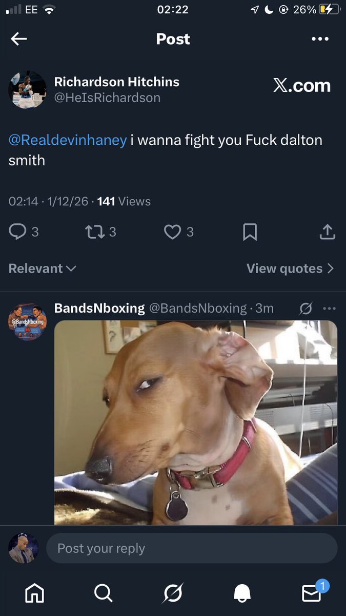 today Richardson Hitchens has called out Devin Haney to fight.

#Boxing #HaneyHitchens