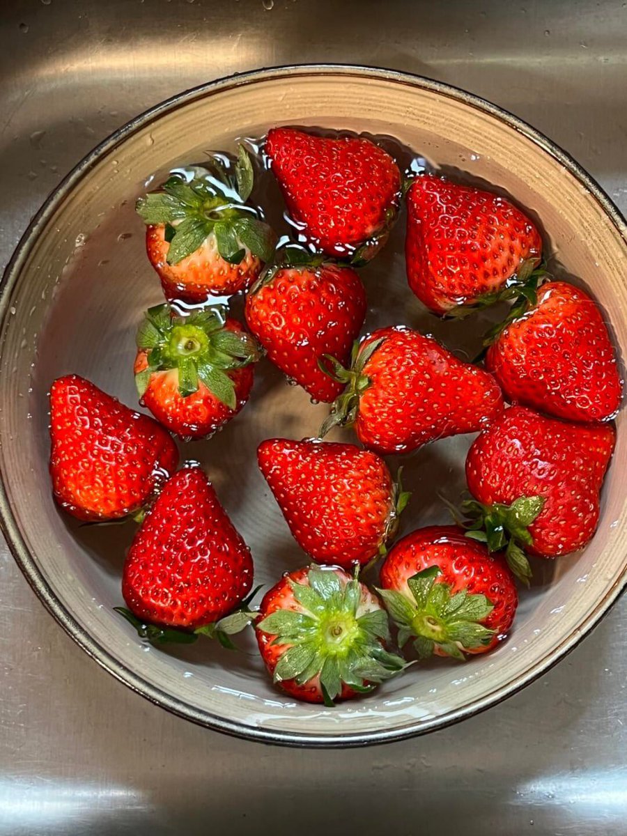 tinymonaa's tweet image. Just like strawberries need time to ripen, human life also requires patience to achieve success. 🍓🥰