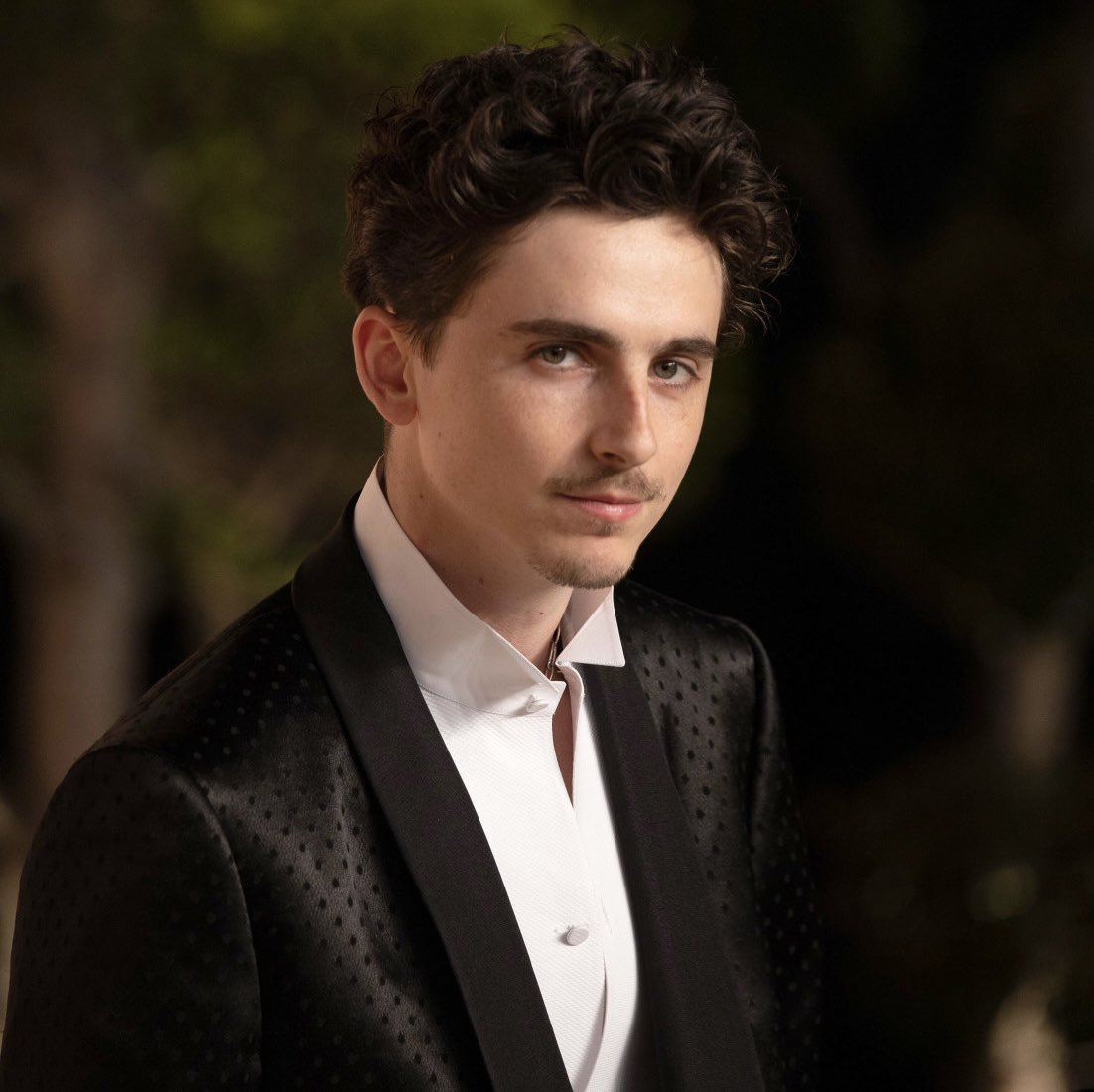 Timothée Chalamet is now the youngest winner of the “Best Actor in a Motion Picture Musical or Comedy” category at the #GoldenGlobes.