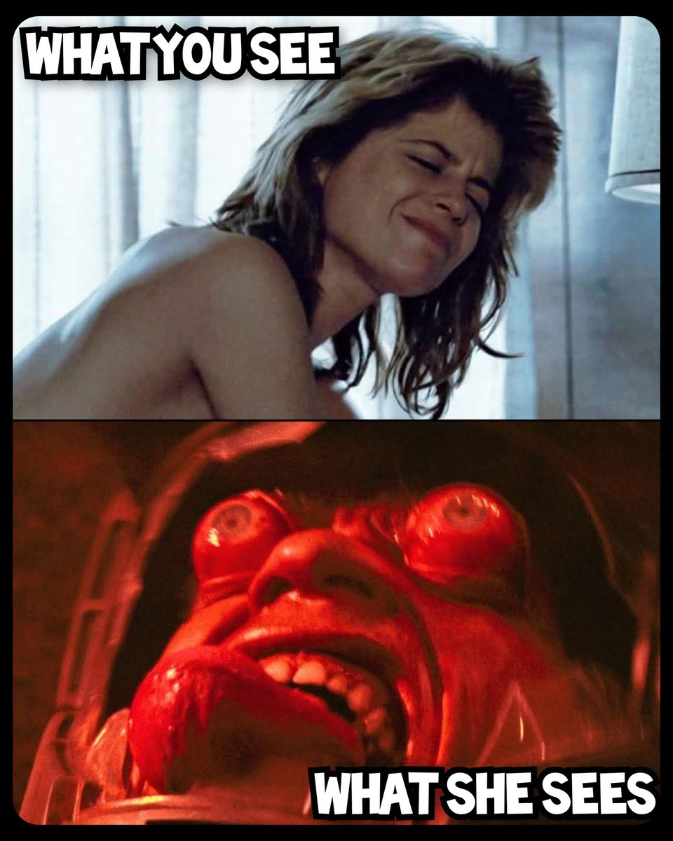 Ash (Dyerbolical) (@ashyslasheedb) on Twitter photo 