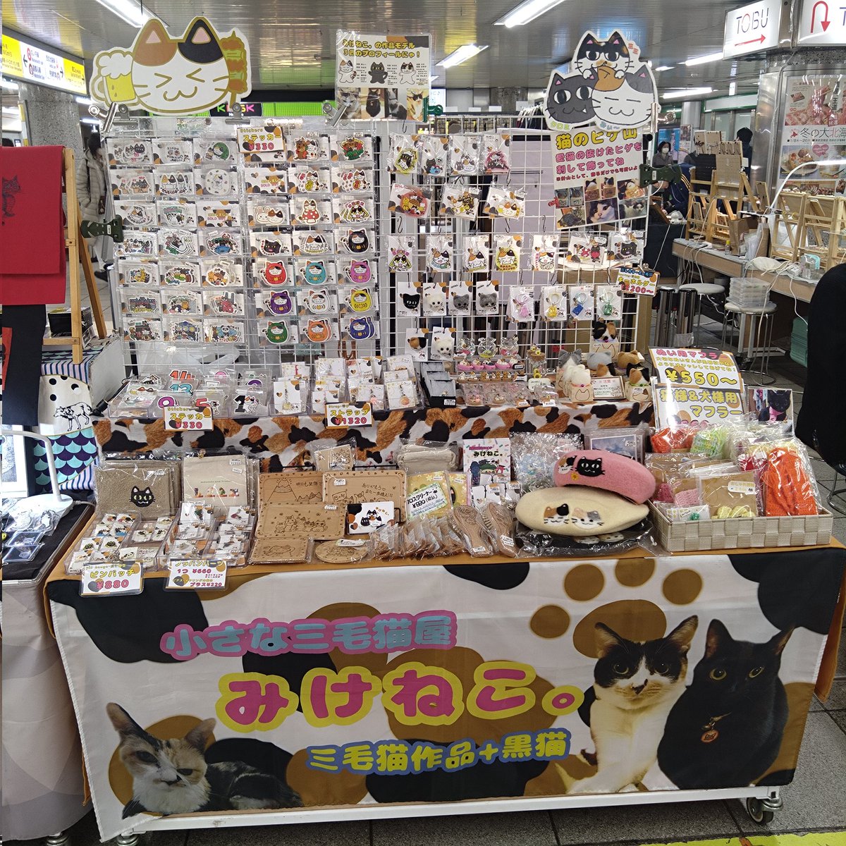 みけねこ。 (@mike_myi) / Posts / X