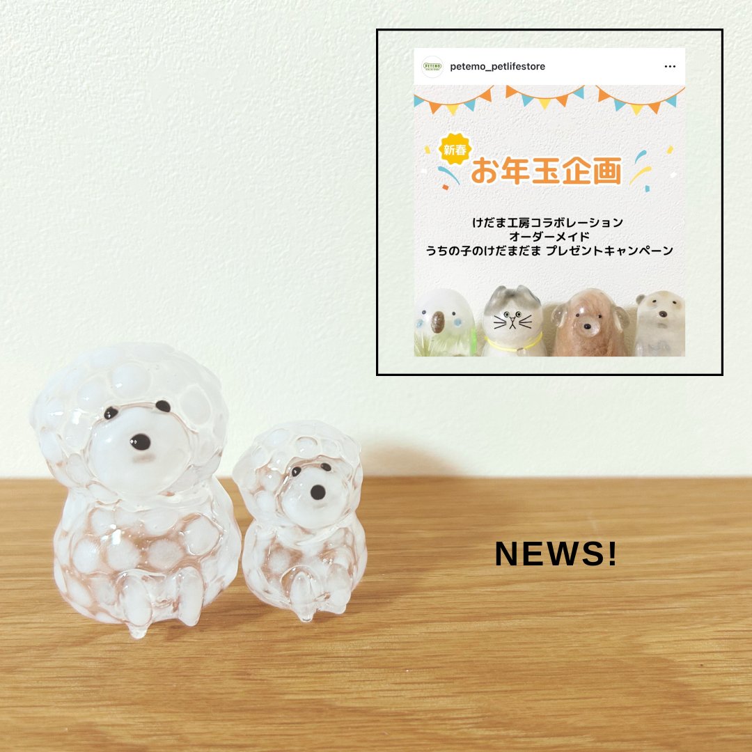 うちの子のけだまだま (@kedamastudio) / Posts / X