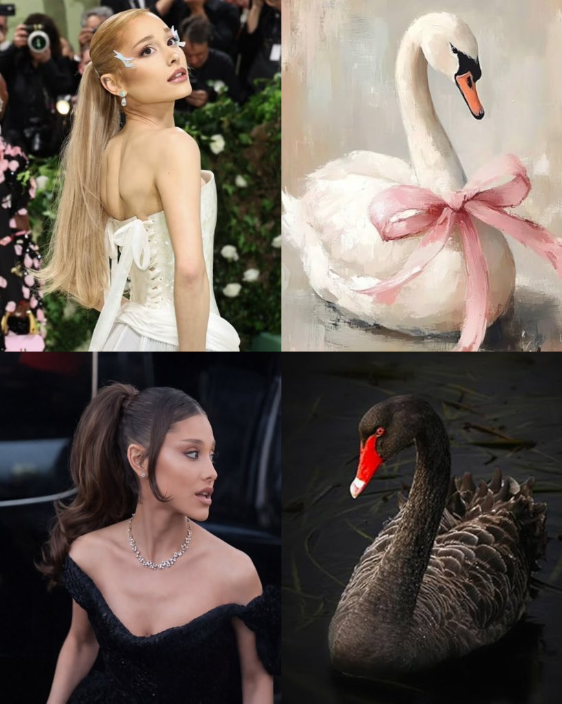 infoari's tweet image. 