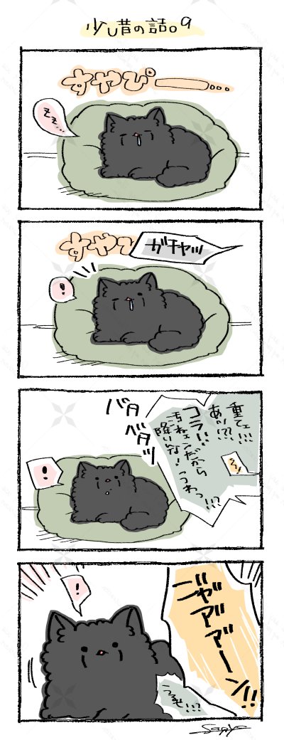 つづき。
にゃすくんは室内飼いされているので、ふだんは窓から外を眺めてニャーターお兄ちゃんを探しています。
