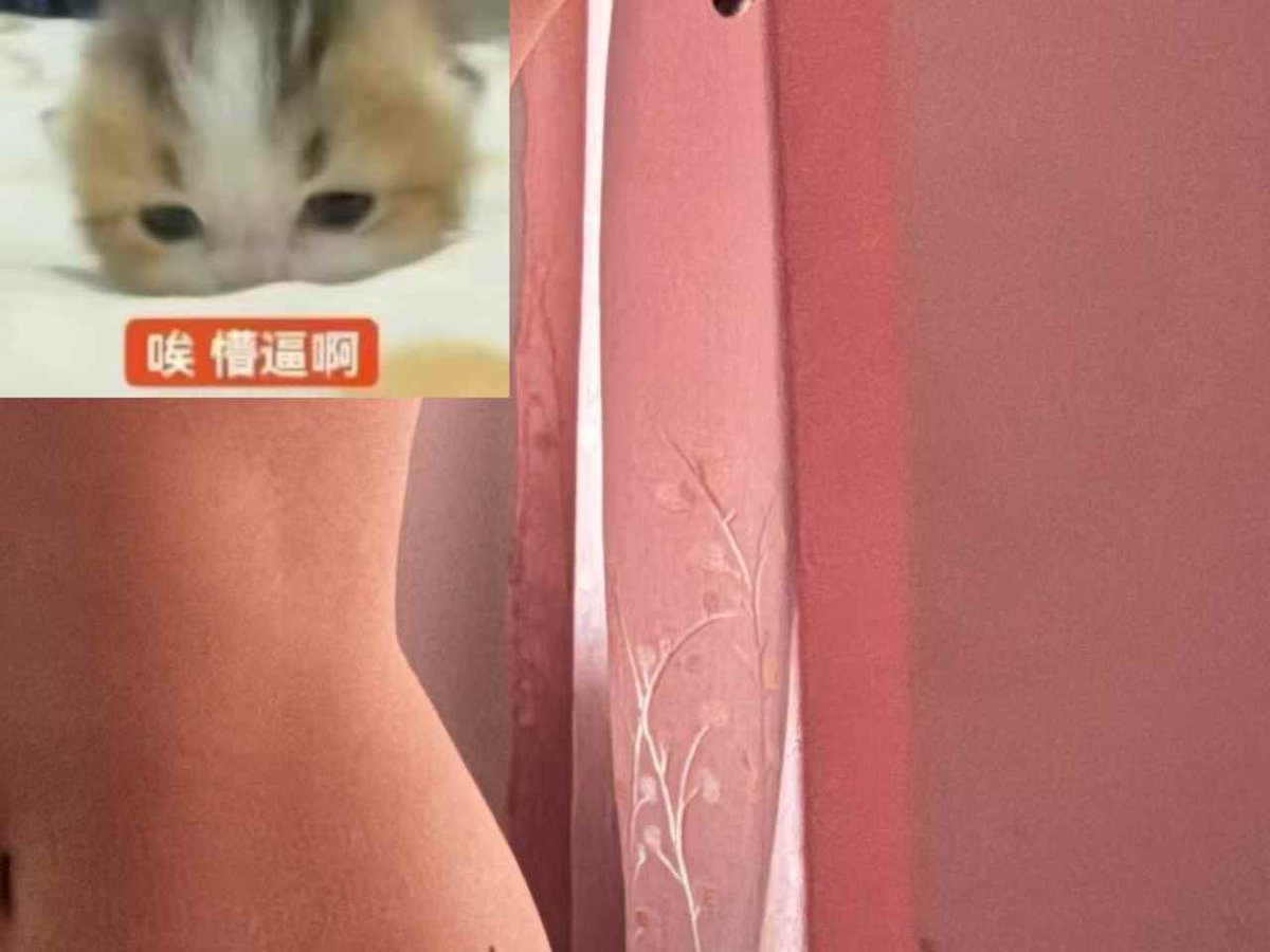 高冷蛋挞 tweet media