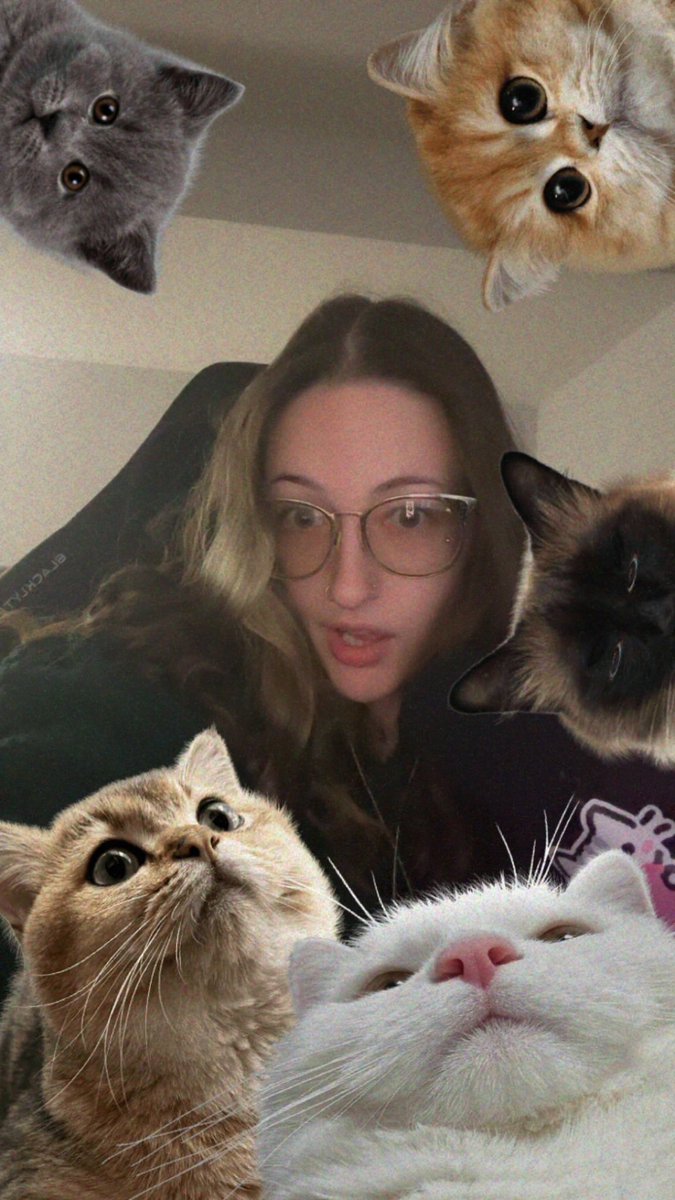 ᵏᶜᵖ maisie •°⊹* tweet media