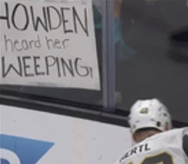 goaltindr's tweet image. HOWDEN HEARD HER WEEPING 

#vegasborn