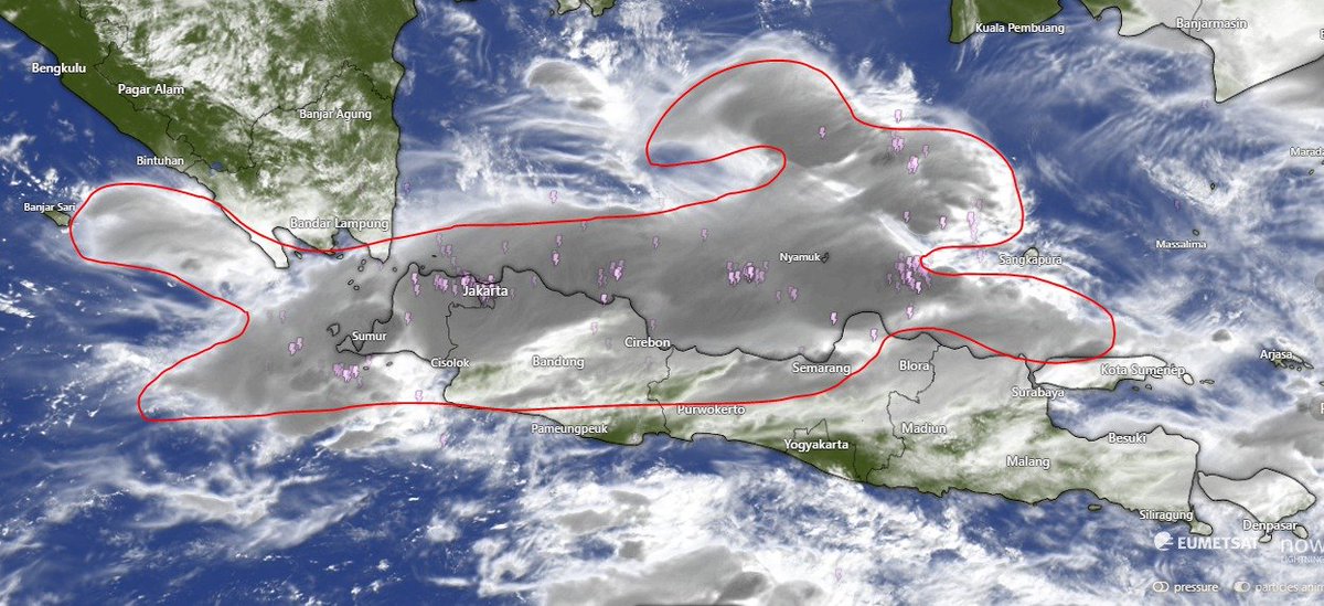 mooniyy's tweet image. ada kelinci