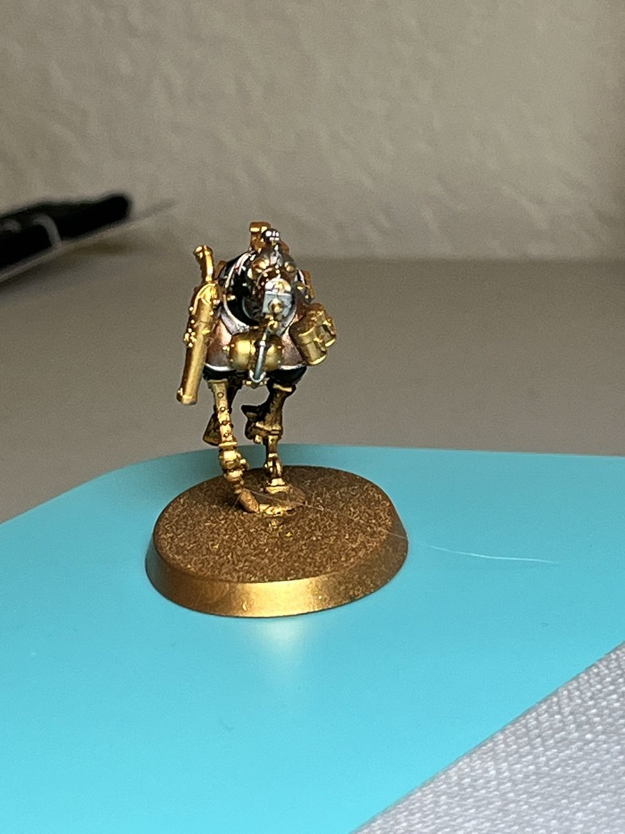 🐾 Amy Shackles 🐾 tweet media