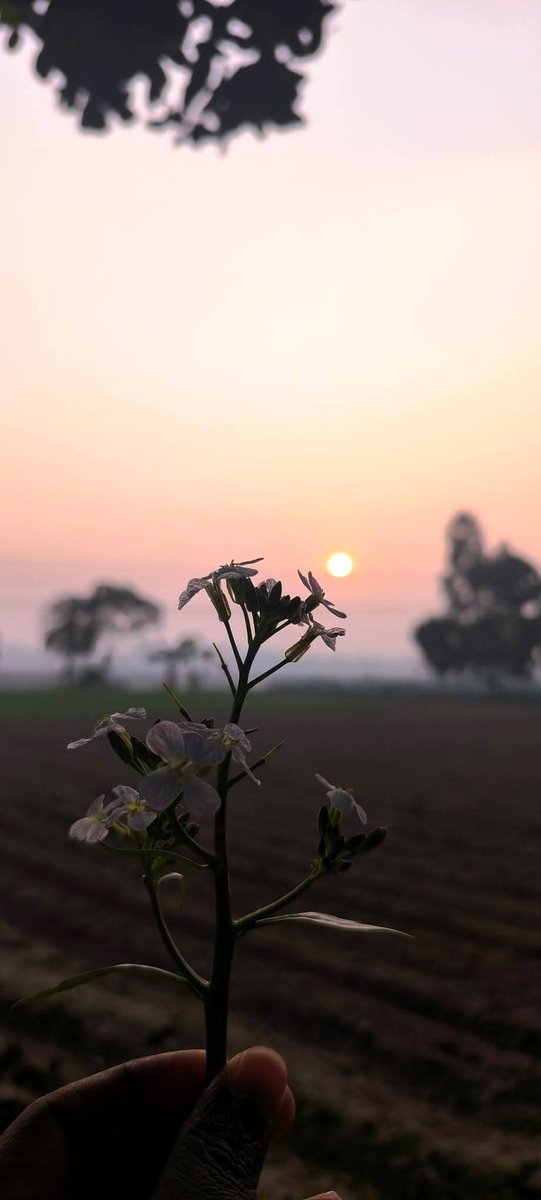 Good Morning <a href="/base/">Base</a> 😍