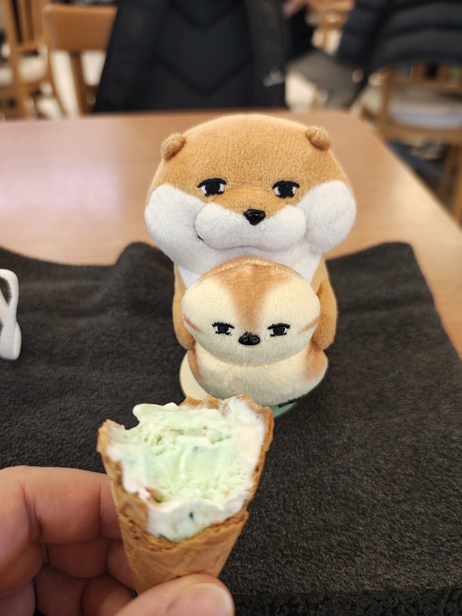 カワウソちゃん( ≖_≖​) 「カモちゃんと美味しく食べたの( ≖_≖​)ﾉ」