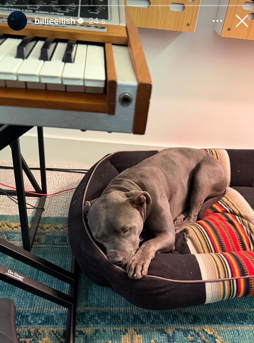 dulkarol's tweet image. eita como trabalha, billie