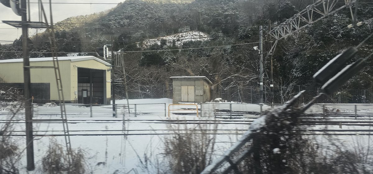 鳴木ルイ tweet media