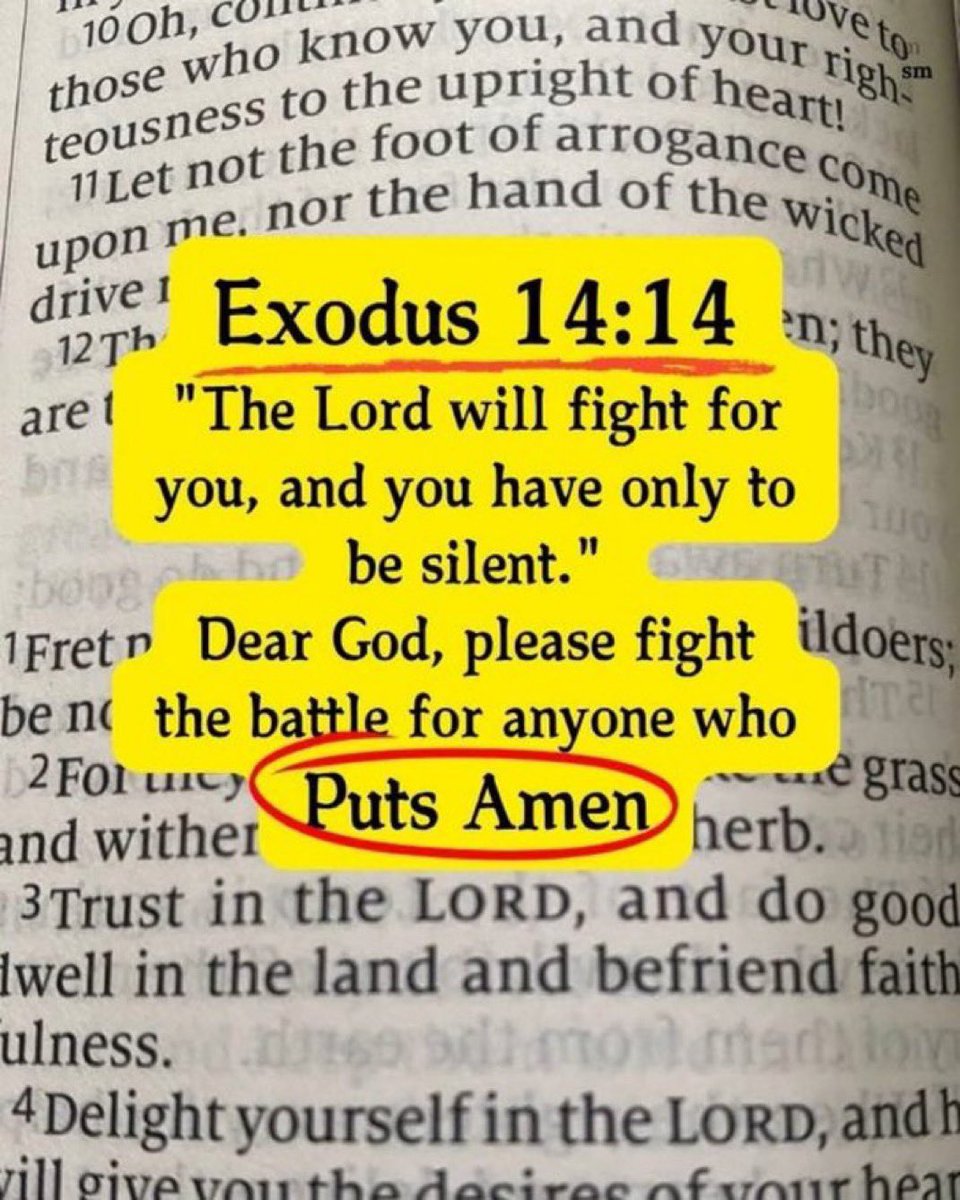 Trust God Brah tweet media