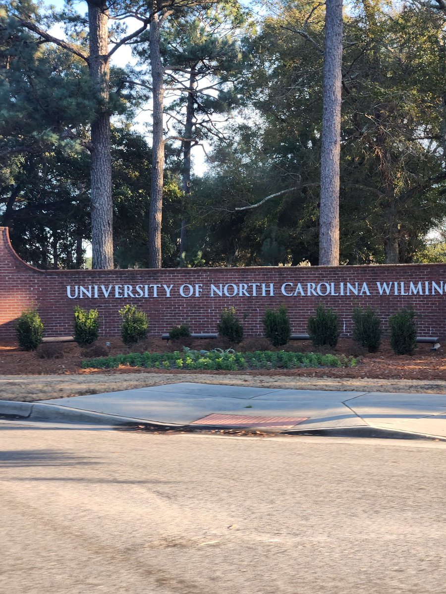 Audrey_Luckie2027 tweet media