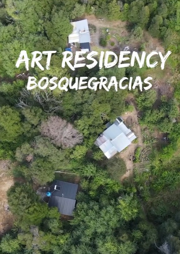 Bosque Gracias 🌳 Art Residency tweet media