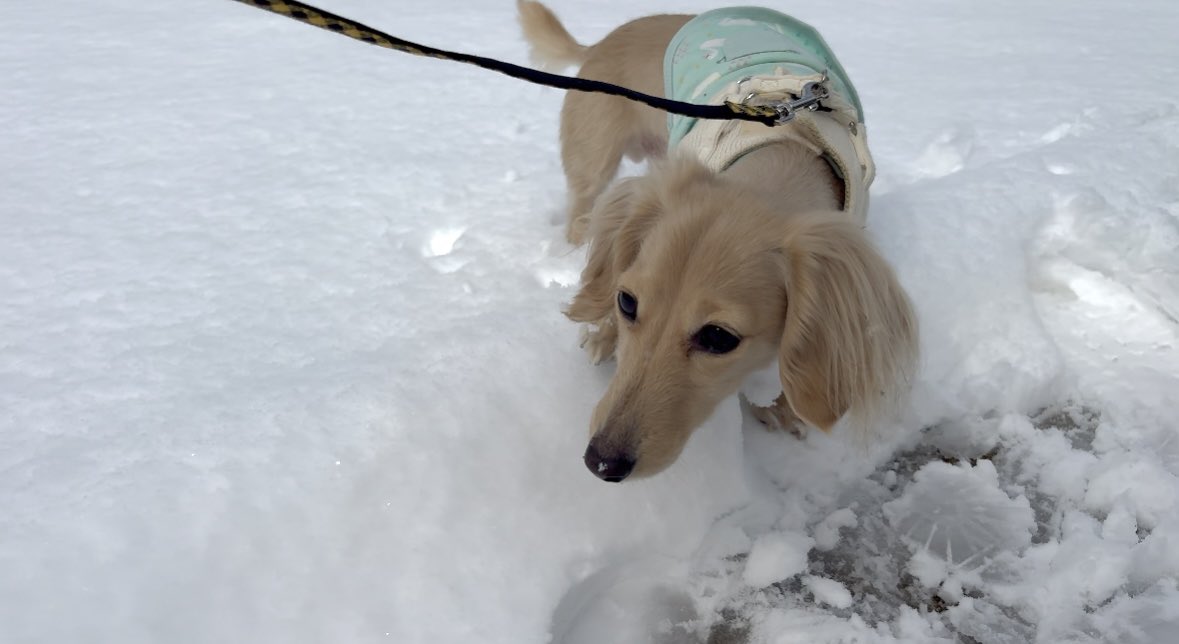 そると🧂 tweet media