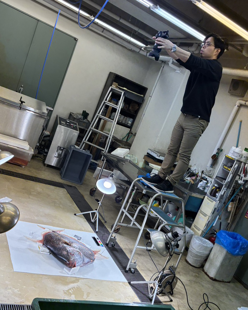 seimeinohoshiPR's tweet image. 大磯海岸にアカマンボウが打ち上がっているとの知らせを受け、学芸員が現地に駆けつけました🐠🏃
マンボウに似た姿ですが、系統的にはリュウグウノツカイに近い深海魚で、相模湾での記録はおそらくありません。
発見をご連絡くださった釣り人の方に感謝し、調査を進めていきたいと思います。