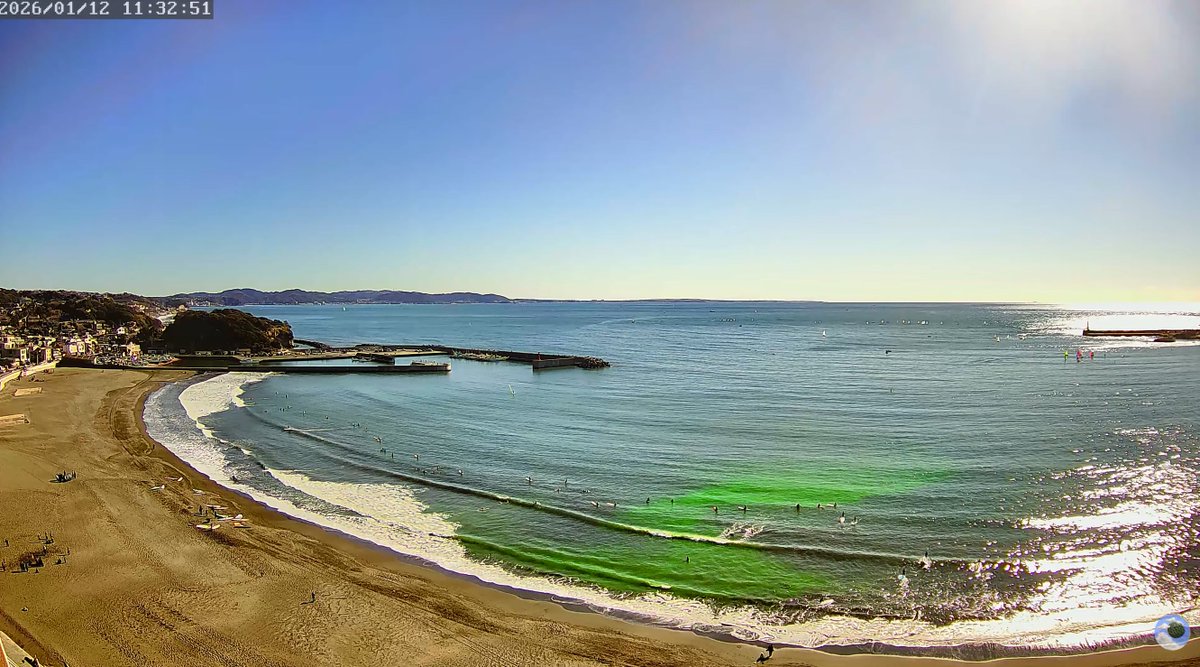藤沢市の腰越海岸に撒かれた緑の液体。 FlyingSuika腰越海岸ライブ