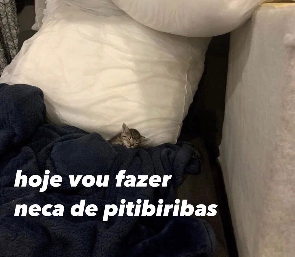 gatinarios's tweet image. 