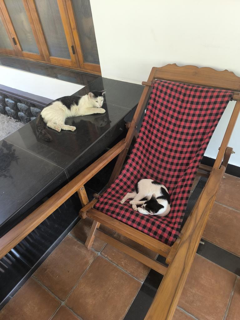 സുൽത്താൻ 😊