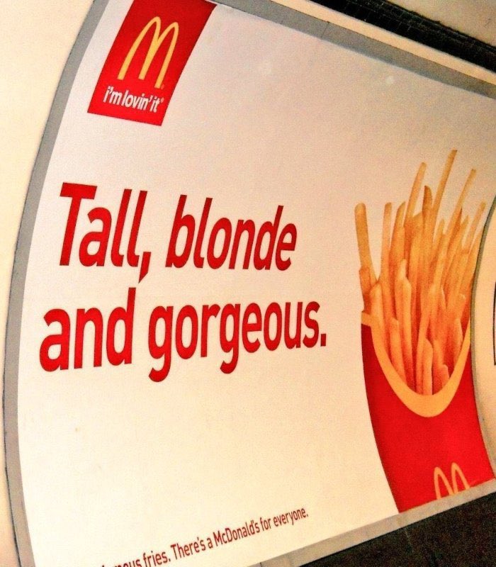 gay cat 🌻 (@goldensbaby) on Twitter photo 