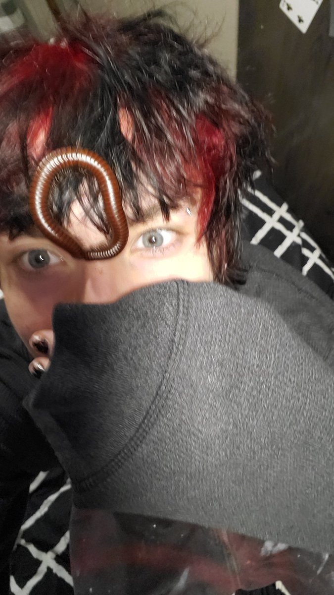 Interweaved_'s tweet image. All my millipedes^^
ㅤ ׅ 𝄂𝄚𝅦𝄚𝄞𝅄ㅤ
#988twt #shtwt #shedtwt #edtwt #miatwt #anatwt