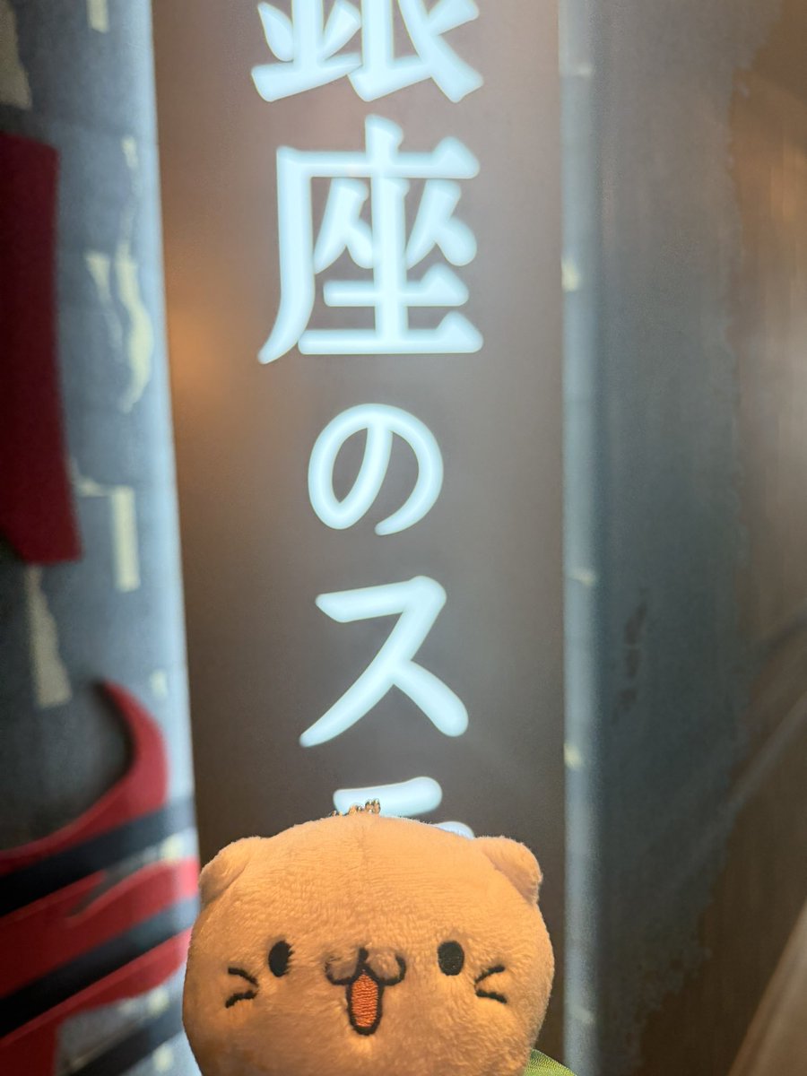 ついに念願の銀座のステーキに上陸したにゃ😼💗 店番べるーにゃいるー