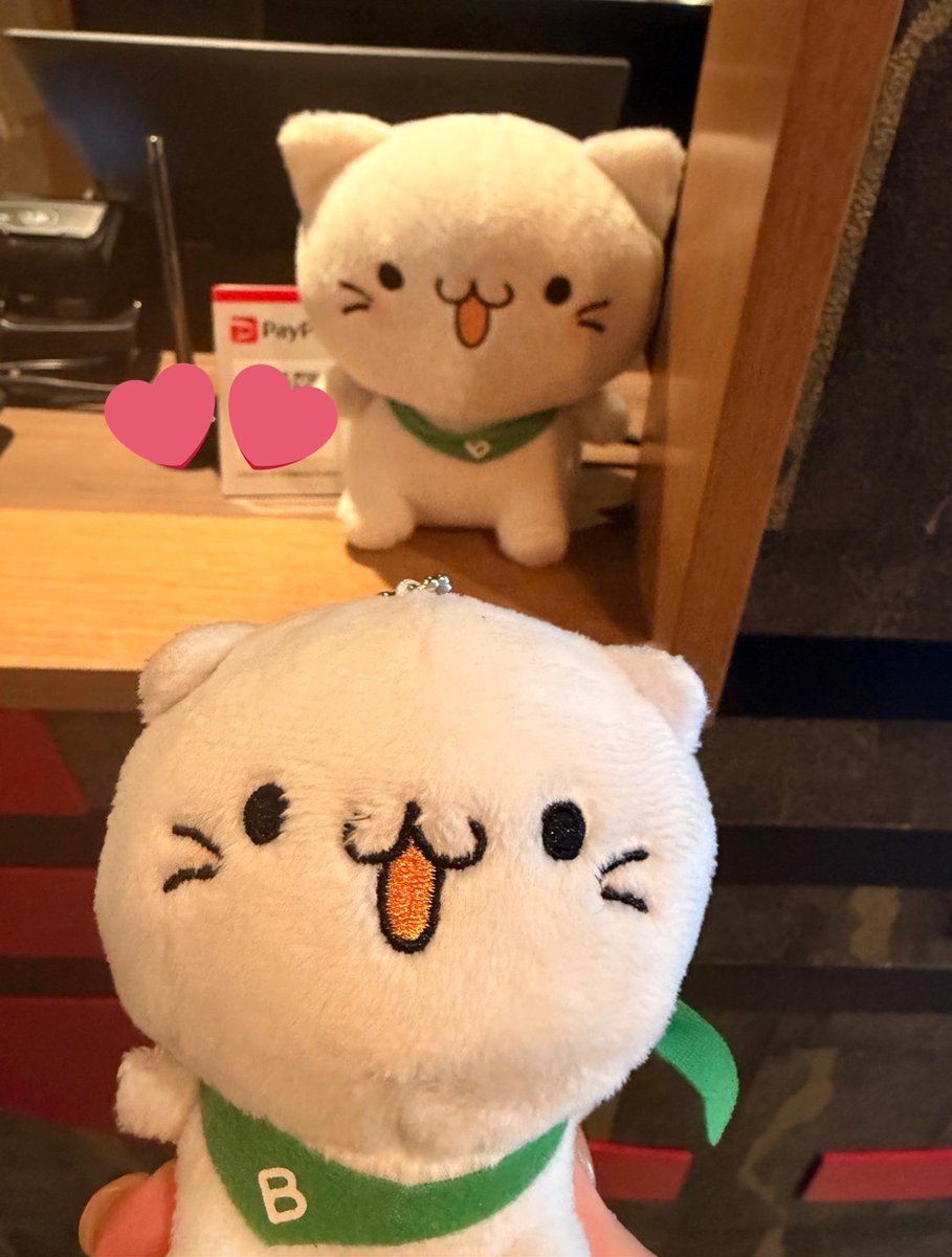 ついに念願の銀座のステーキに上陸したにゃ😼💗 店番べるーにゃいるー