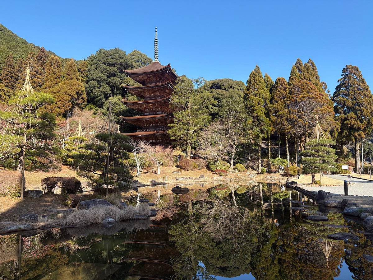 _nrin's tweet image. 土曜日は防府に行く前に山口市に寄ってました。大改修を終えた国宝「瑠璃光寺五重塔」を観て、湯田温泉で温泉に♨️ 久々に来たけど来てよかった(∩ˊᵕˋ∩)