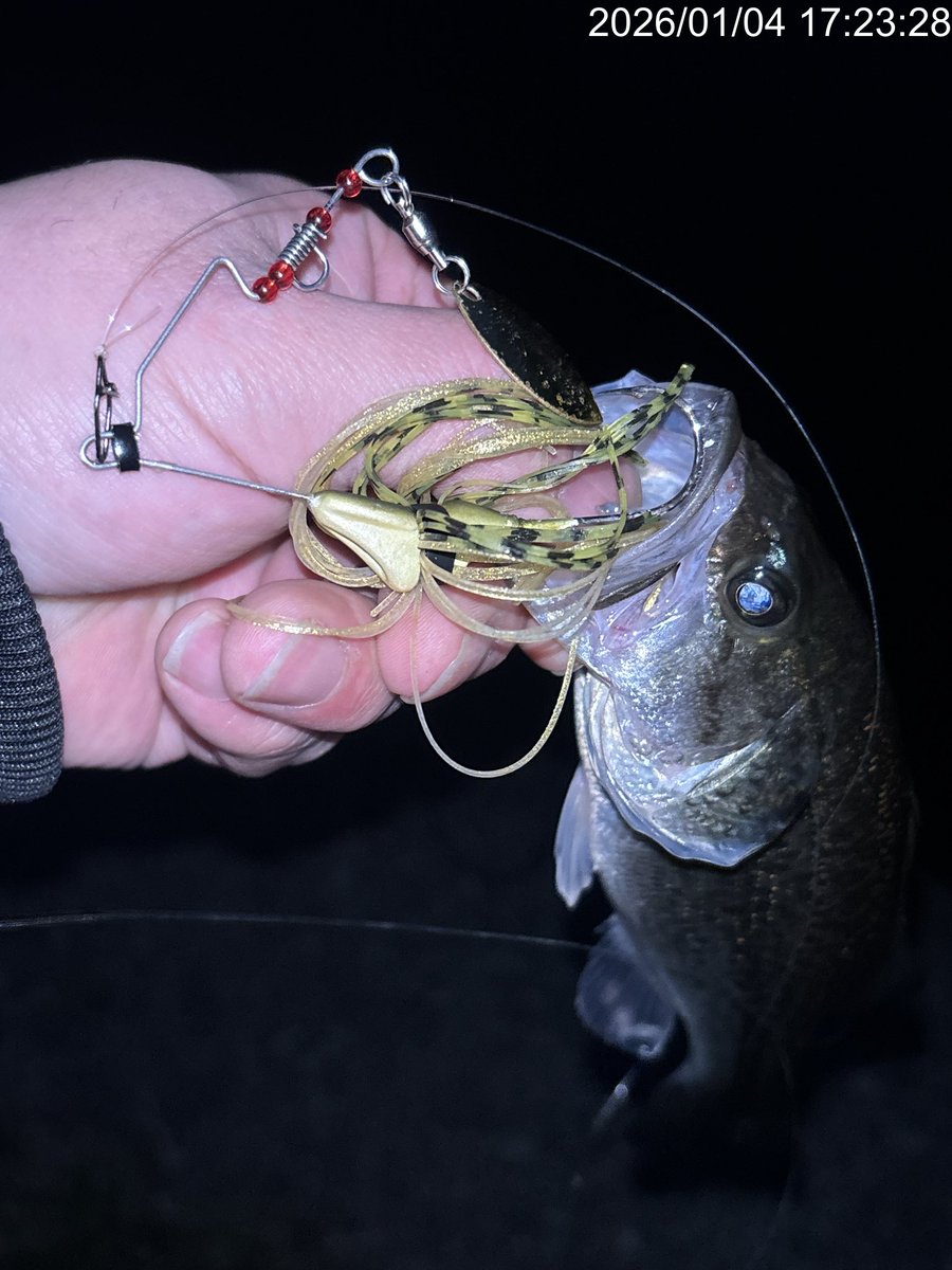 山ちゃん (@XkHQtZK8kx3fhWt) / Posts / X