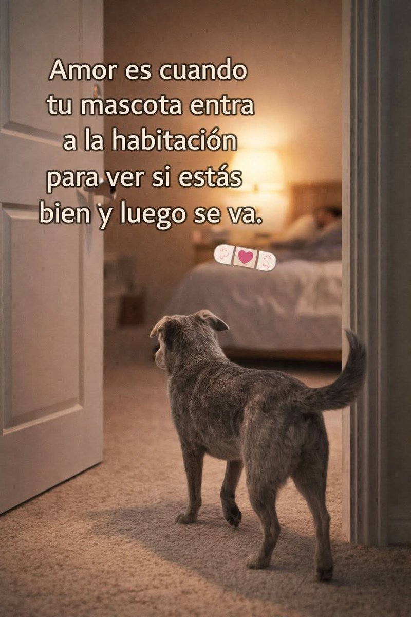 Sabueson (@sabueson) on Twitter photo 