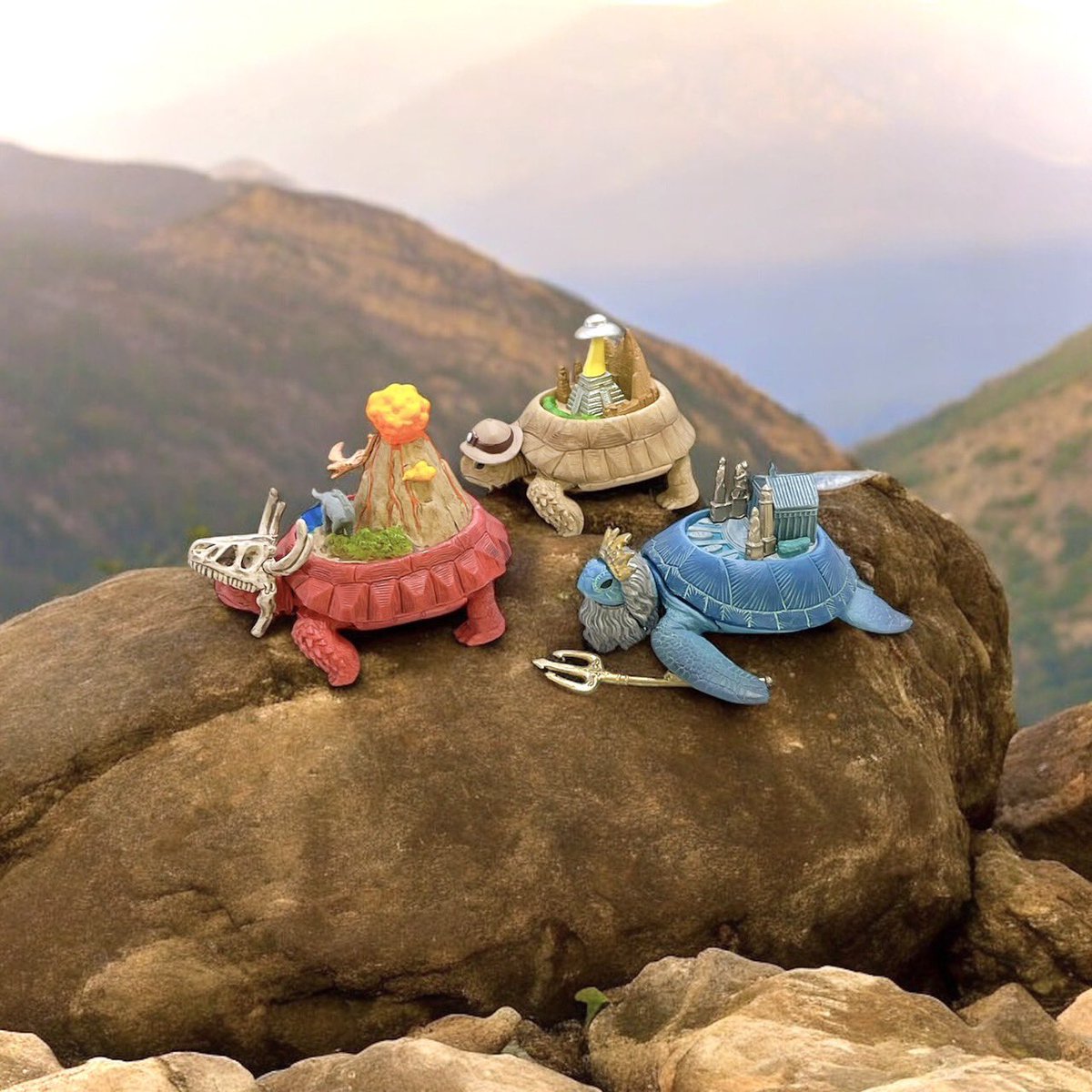 ⛰️スタッフおすすめ⛰️ 🌊カプセルトイ紹介🌊 🐢大陸ガメ-タイ