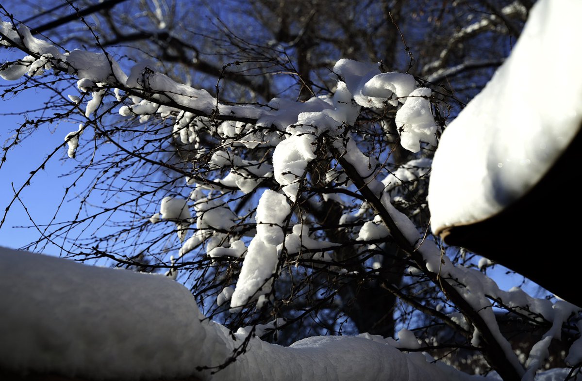 FMoore67's tweet image. A few images with my new camera. It’s an absolutely fantastic camera. I have a lot of practice ahead of me. 
Sigma FP L w/ 24-70mm Art II lens.