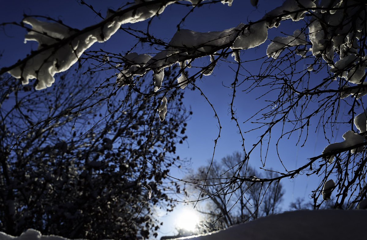 FMoore67's tweet image. A few images with my new camera. It’s an absolutely fantastic camera. I have a lot of practice ahead of me. 
Sigma FP L w/ 24-70mm Art II lens.