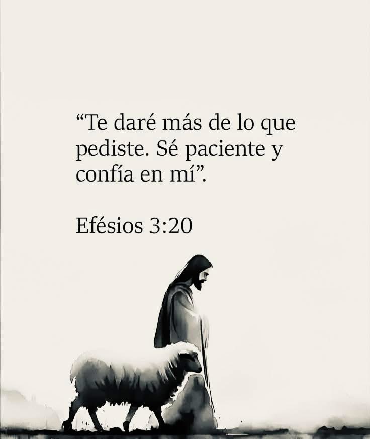 SanRafaelArcan4's tweet image. Confía en Dios 🫶